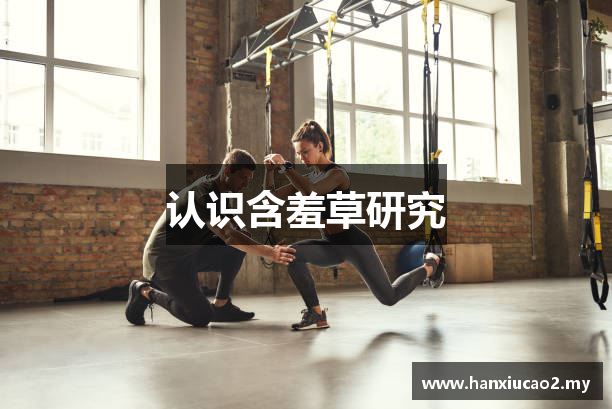 认识含羞草研究